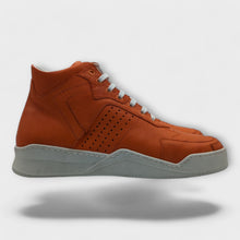 Load image into Gallery viewer, Judiziu