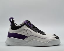 Load image into Gallery viewer, Vave